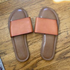 Tan slides